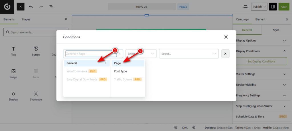 Campaign Display Condition