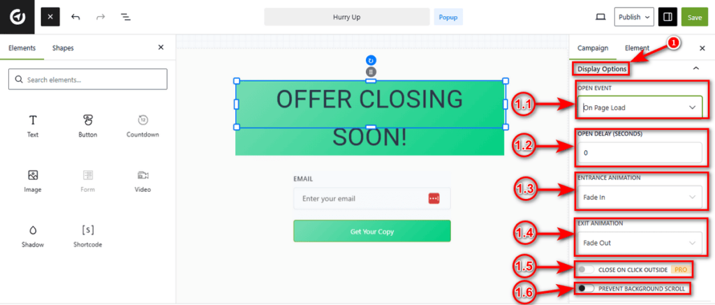 Campaign Display Options