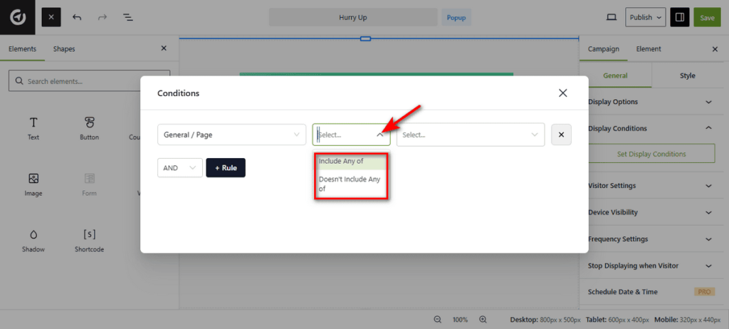 Campaign Display Condition