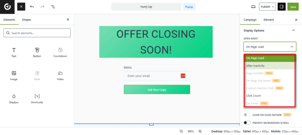 Campaign Display Options