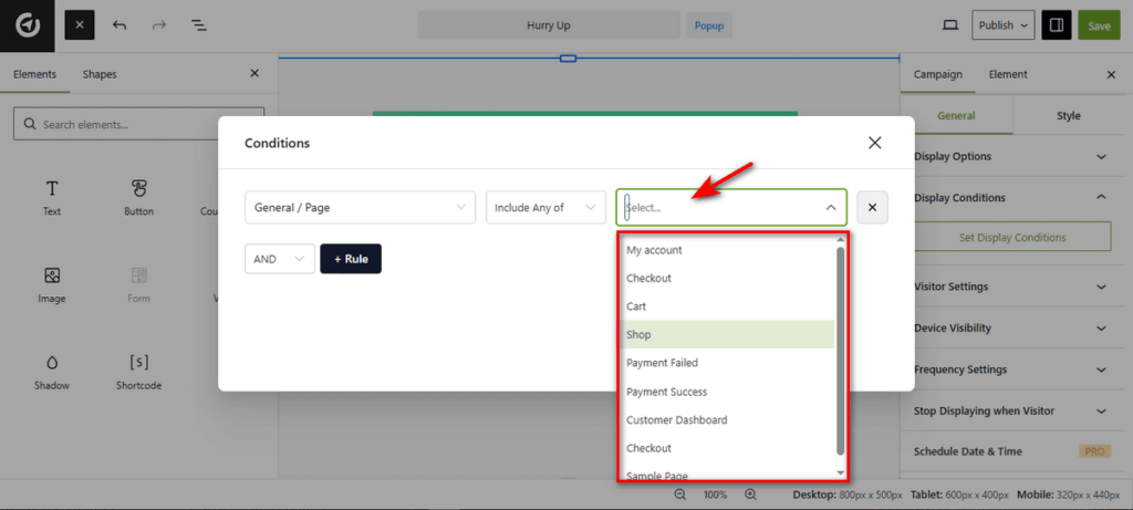 Campaign Display Condition