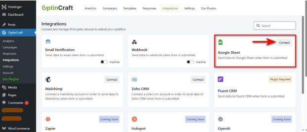How to Integrate Google Sheet with a Popup Plugin